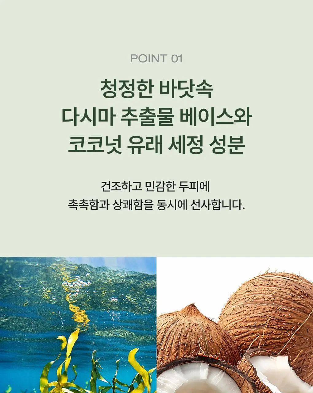 [1위 다시마샴푸] 청미정 다시마 샴푸&트리트먼트 듀오 기획 상세페이지 19